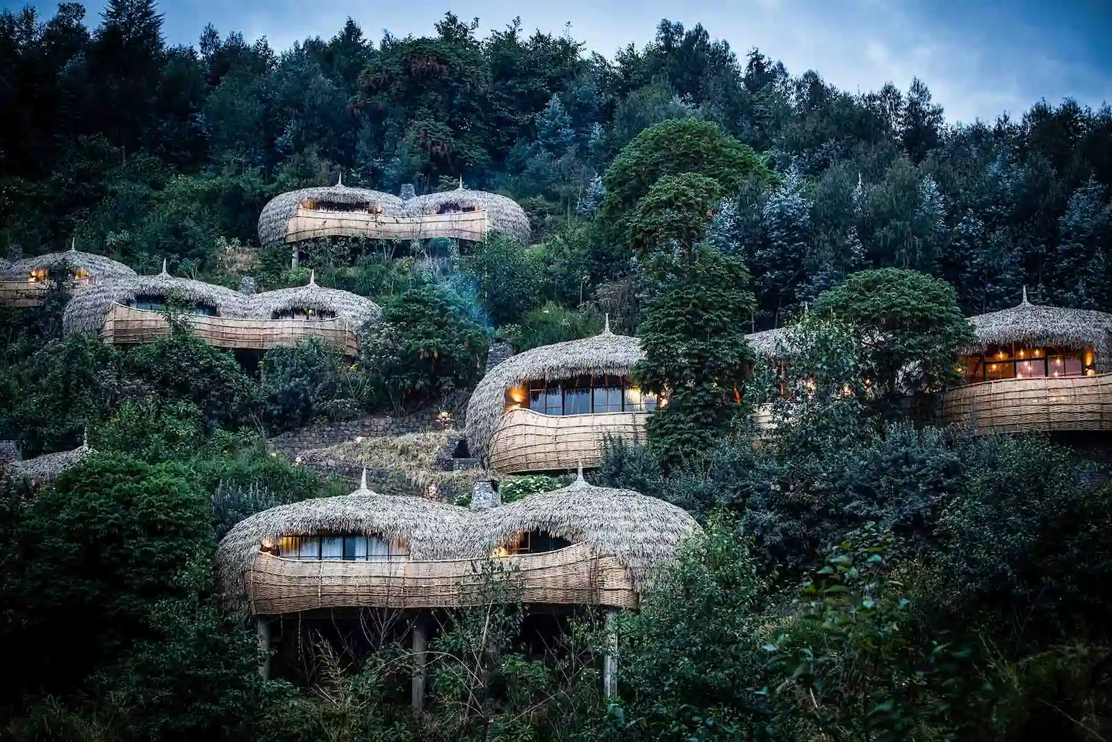 Rwanda — Gorilles des Volcans
